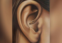 Qual é a primeira coisa que você vê? Sua resposta revelará aspectos de sua personalidade que você não conhecia