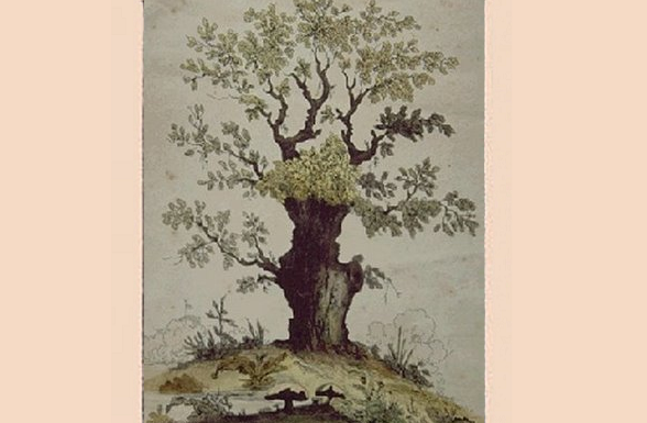 Apenas os melhores resolvem: quantas faces você localiza na árvore de ilusões?