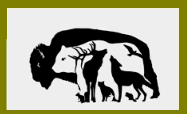 Teste: Qual animal  você  escolhe? Descubra nuances da sua personalidade.