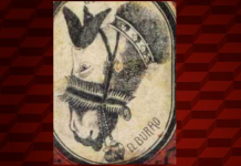 Burro ou oficial? o que viu primeiro determina seu estado emocional