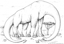 Teste sua percepção: Um dinossauro com cinco patas? Tem mais pernas do que você imagina?