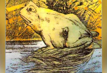 O que você vê? Cavalo ou sapo? Em apenas um segundo você aprenderá toda a verdade