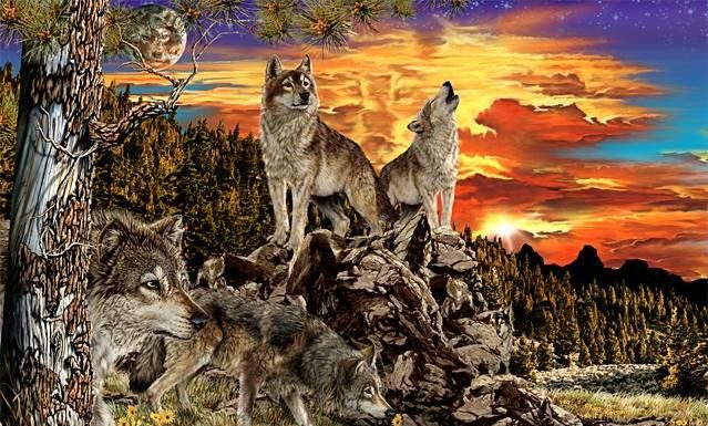 Testes de percepção: Na imagem abaixo, existem lobos. Sua missão é identificá-los todos em 1 minuto.