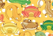 Desafio de visão 10/10:encontre os três animais sorrindo.