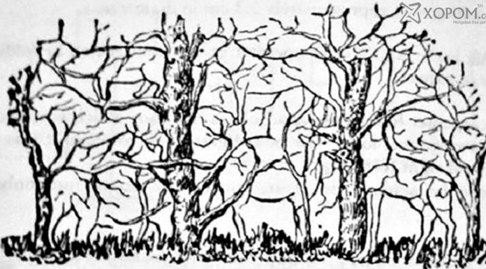 Qual foi o primeiro animal que você viu na foto? O animal vai te falar muito sobre você .