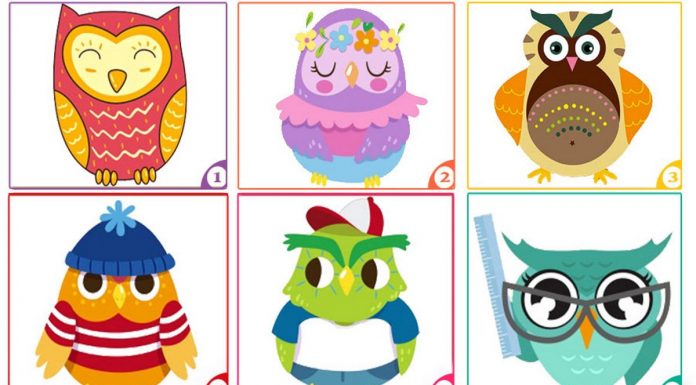 Teste: a coruja escolhida revelará as principais características de sua personalidade