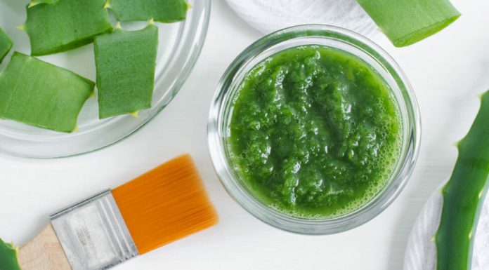 Máscaras feitas com aloe vera, benefícios e receitas especializadas