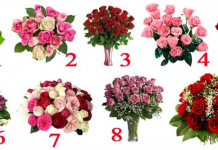 Escolha o buquê que você mais gosta: Ele dirá o que as pessoas pensam de você