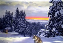 Teste sua acuidade visual: Quantos linces existem?