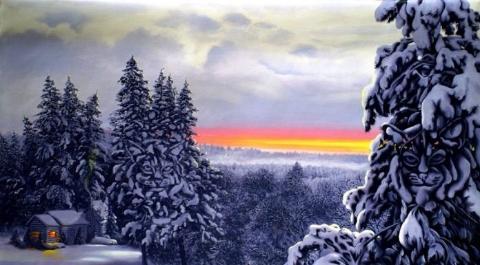 Teste sua acuidade visual: Quantos linces existem?