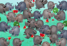 Desafio viral: Você consegue ver o hipopótamo entre os rinocerontes?