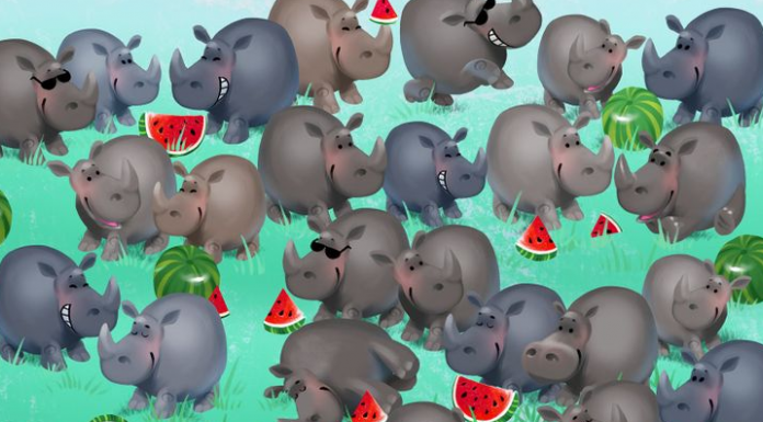 Desafio viral: Você consegue ver o hipopótamo entre os rinocerontes?