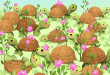 Alguns têm olhos tão penetrantes que nada lhes escapa: Encontre o caracol entre as tartarugas.