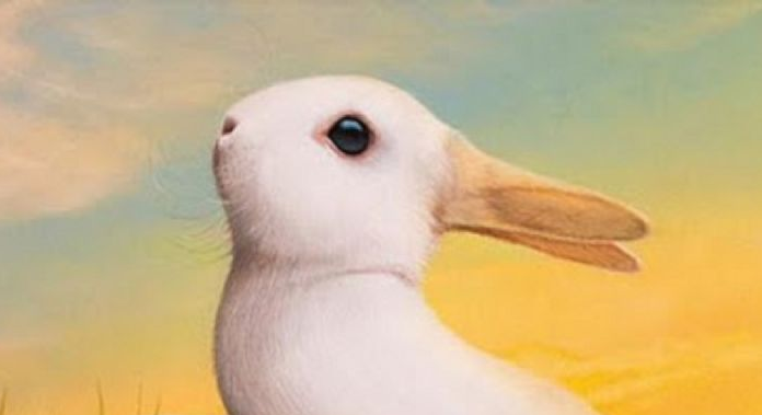 Qual animal você vê primeiro? Teste de personalidade incrível