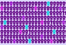 Quão observador você pensa que é? Você tem apenas 30s para detectar os intrusos entre os “8”!