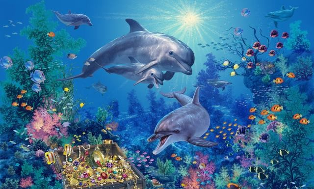 Golfinhos encantadores: quantos seres você encontra?