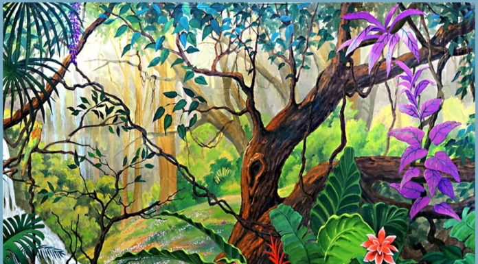 Teste seus olhos: Você consegue encontrar 5 papagaios🦜 escondidos na foto em um minuto?