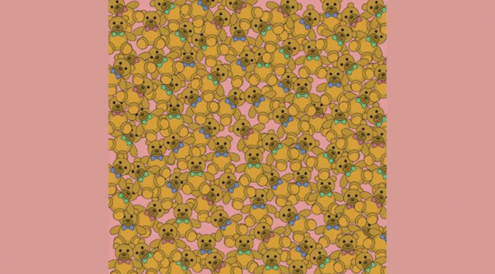 Desafio visual: encontre o urso sem arco entre todos os bichinhos de pelúcia em menos de 20s.