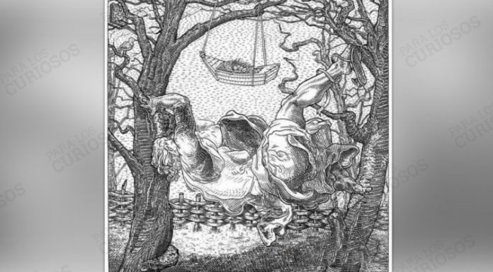 A primeira coisa que vemos nesta imagem revela nossas fraquezas no amor.