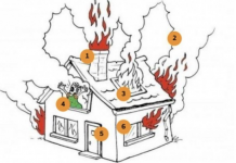 O que você viu primeiro?: O teste psicológico que atinge a profundidade de seus pensamentos