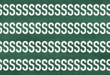 Você provavelmente é um gênio se conseguir encontrar o intruso em 10 segundos ou menos🏆