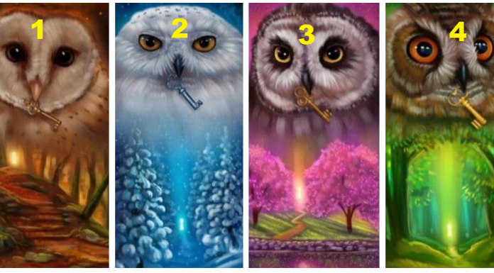 Teste de personalidade incrível: escolha uma coruja e descubra o que ela revela sobre você