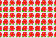 Quebra-cabeça da hora: Reserve alguns segundos e encontre um detalhe diferenciado na imagem.