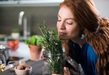 Descubra como o alecrim pode melhorar a função cerebral.