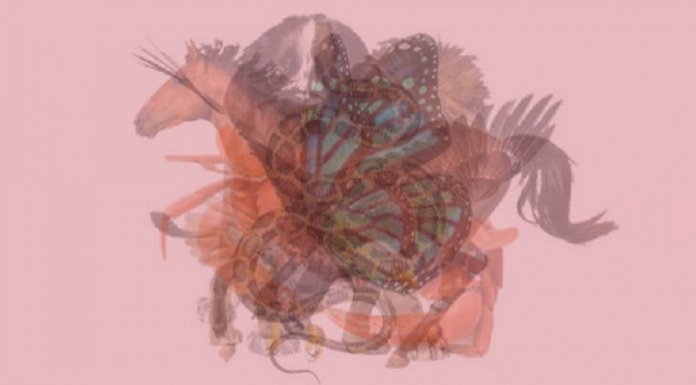 Qual animal você vê primeiro? Teste de personalidade incrível