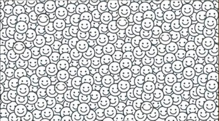 O surpreendente quebra-cabeça visual das 12 faces diferentes e sorridentes  que nem todos conseguem resolver