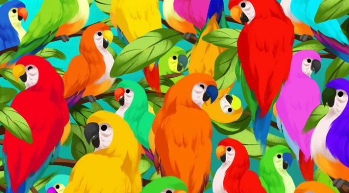 Papagaios multicoloridos não tornam isso fácil! Encontre o camaleão entre eles.