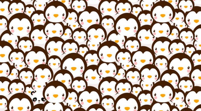 Teste: desafie sua acuidade visual procurando o panda entre os pinguins.🐧