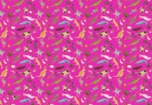 Tem olho aguçado para quebra-cabeças? Desafie-se! Encontre o Coala!