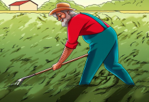 Hora do desafio: Você consegue encontrar o irmão gêmeo do camponês?