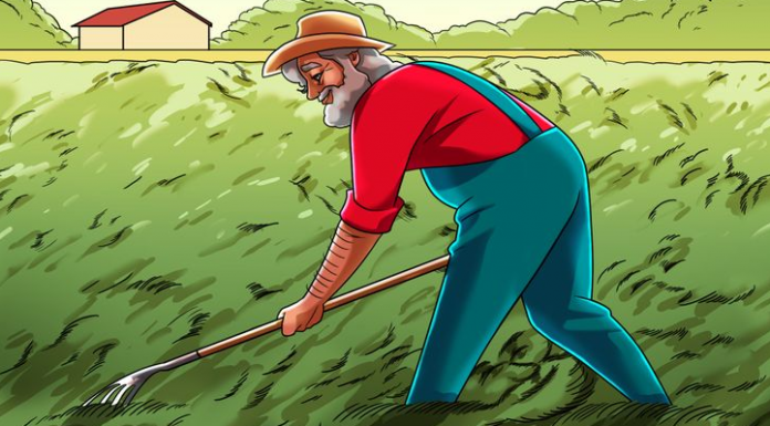 Hora do desafio: Você consegue encontrar o irmão gêmeo do camponês?