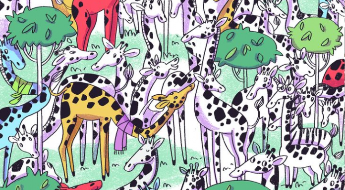 Desafio visual: Pelo visto, tem zebra jurando que é girafa…Onde ela está?