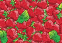 Desafio viral: Você consegue encontrar as 5 joaninhas entre os morangos?