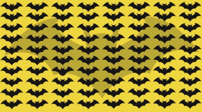 Desafio ótico: Quão rápido você consegue identificar o morcego diferente?