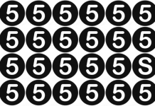 Apenas 7% das pessoas podem passar nestes 10 testes de visão. E você ? Encontre os intrusos!