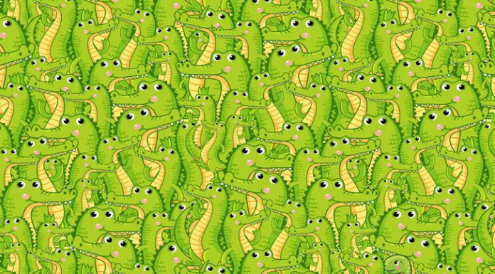 Identificamos muitos jacarés: Você sabia que há uma cobra escondida nesta foto? Ache-a!