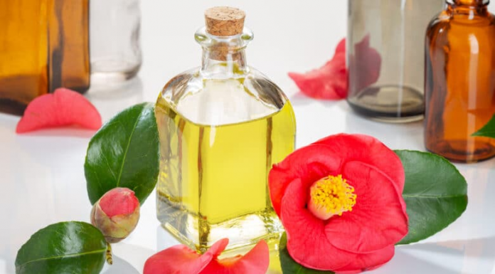 Óleo de camélia: descubra o segredo da beleza das mulheres japonesas