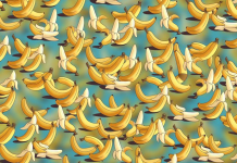 Como está o seu senso de observação? Um bumerangue se infiltrou aqui. Localize-o!