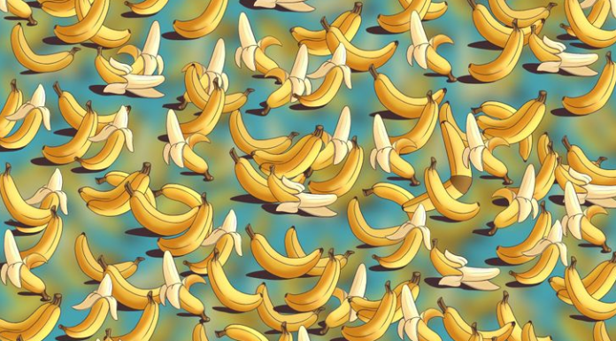 Como está o seu senso de observação? Um bumerangue se infiltrou aqui. Localize-o!