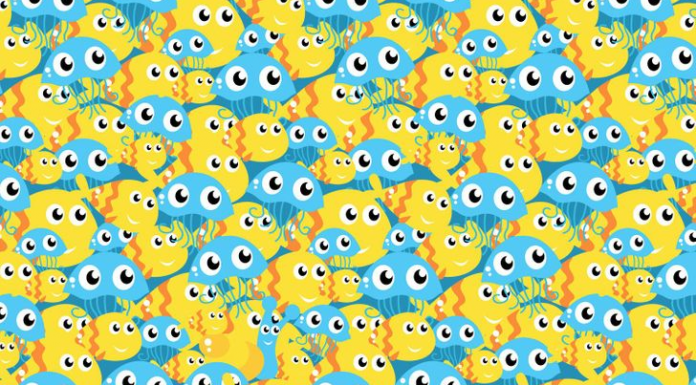 Um caracol está escondido entre a água-viva e o peixe. Encontre-o!