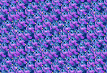 Desafio visual difícil de 3s : Há uma borboleta🦋entre esses pássaros. Encontre-a!