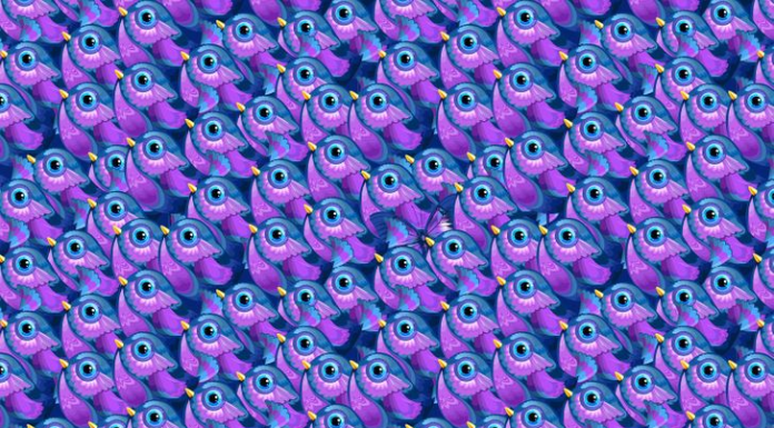 Desafio visual difícil de 3s : Há uma borboleta🦋entre esses pássaros. Encontre-a!