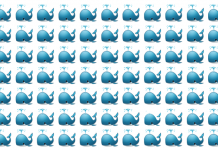 Somente os olhos mais atentos podem identificar a baleia “estranha” em menos de 15s. E quanto a você?