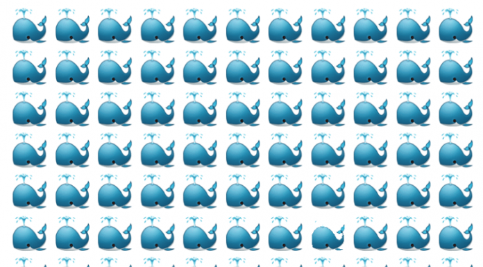 Somente os olhos mais atentos podem identificar a baleia “estranha” em menos de 15s. E quanto a você?