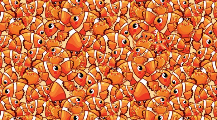 Existe uma estrela do mar entre peixes e caranguejos: Encontre a “ilustre estrela do mar”!