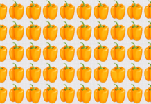 Mostre suas habilidades visuais: encontre rapidamente diferenças em 5 quebra-cabeças divertidos.